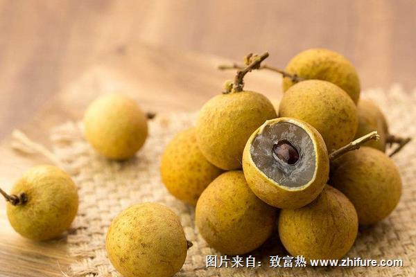 龍眼是熱性還是涼性