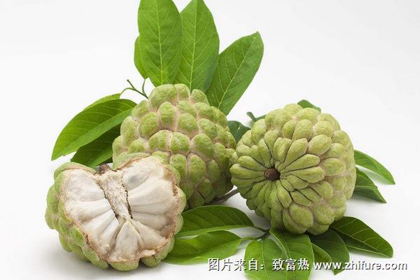 孕婦可以吃番鬼荔枝嗎