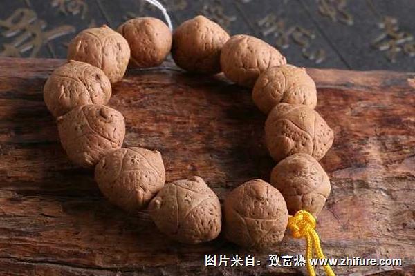 龍眼菩提佛珠手串價格多少錢一串