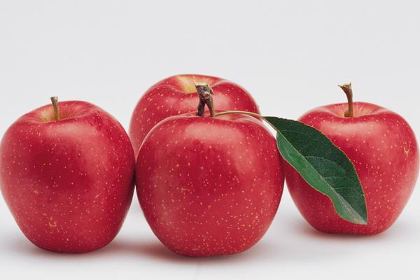 孕婦可以吃桂圓嗎