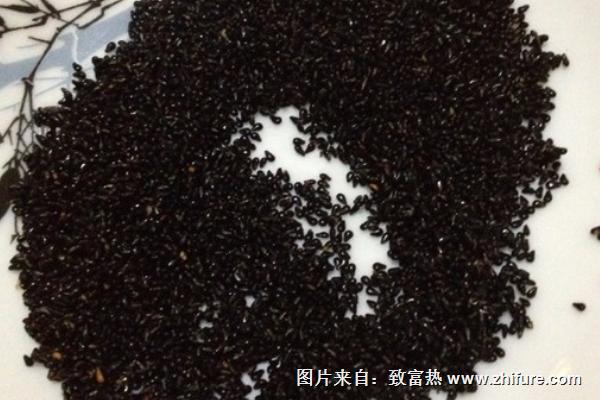 火龍果的籽能消化嗎