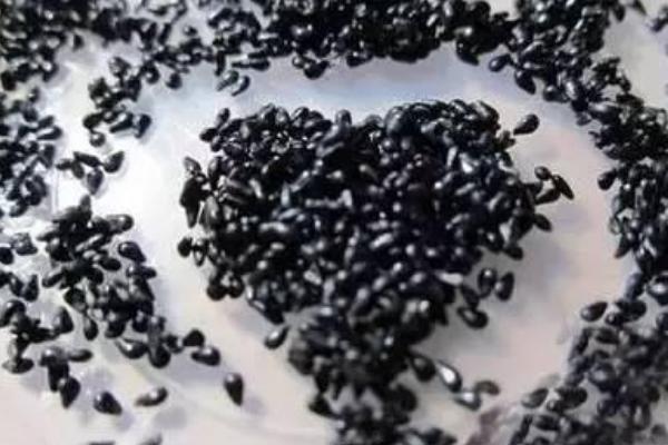 火龍果的籽能消化嗎