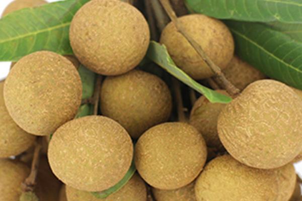 龍眼補(bǔ)腎嗎