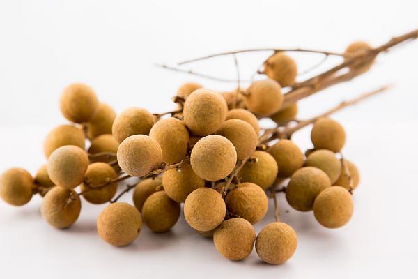 龍眼扣肉的做法大全