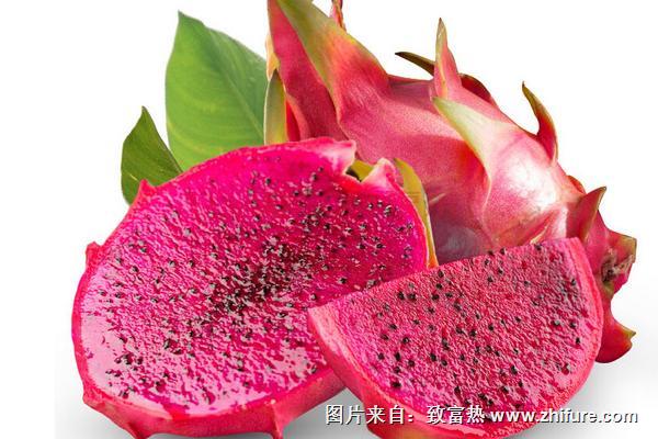 紅心火龍果的產(chǎn)地在哪里