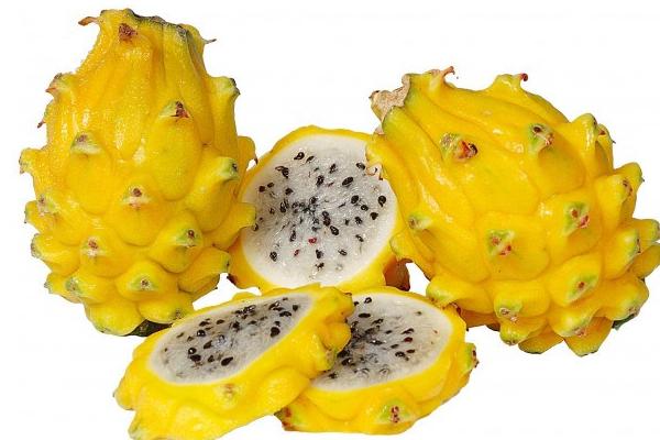 紅心火龍果的產(chǎn)地在哪里