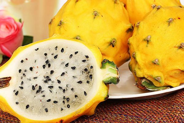 黃皮火龍果營養價值