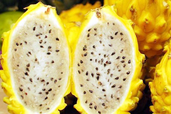 黃皮火龍果營養價值