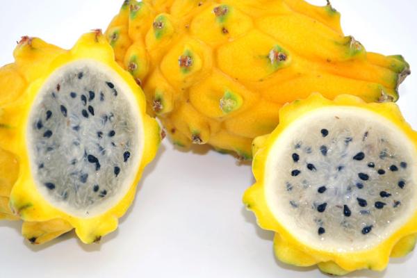 黃皮火龍果營養價值