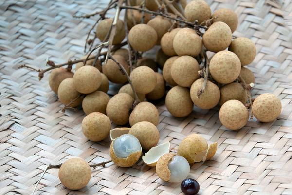 龍眼什么時(shí)候成熟