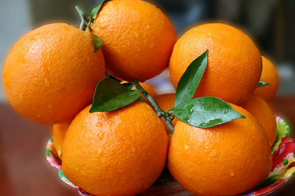 贛南臍橙產地在哪里