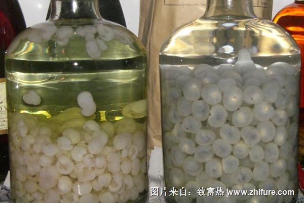 龍眼酒功效與作用及禁忌