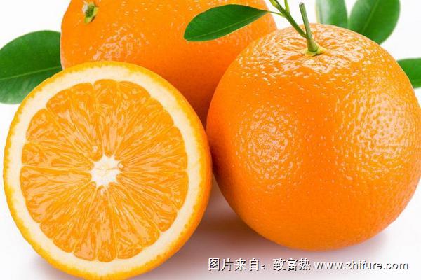 臍橙和橙子的區(qū)別是什么