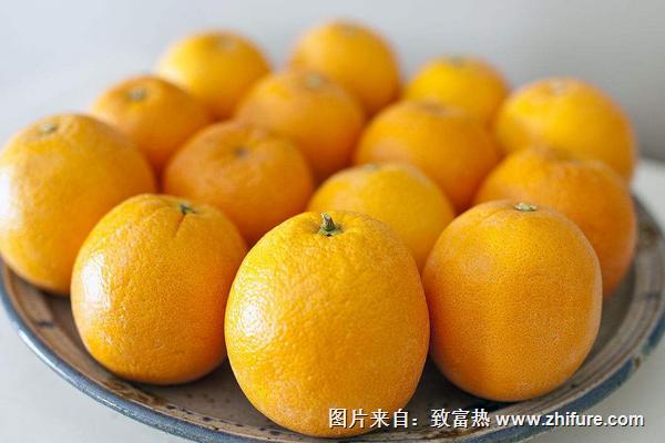 夏橙和臍橙的區別是什么