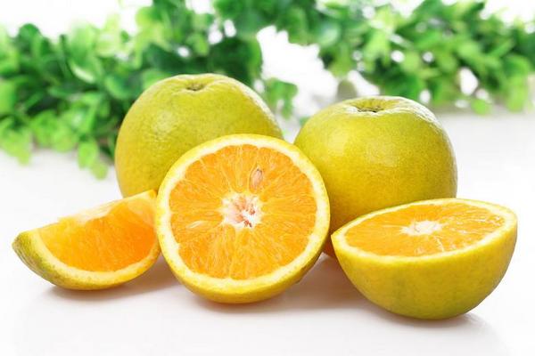 夏橙和臍橙的區別是什么