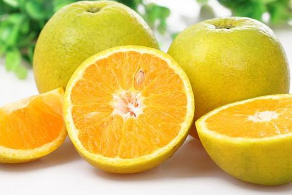 夏橙和臍橙的區別是什么