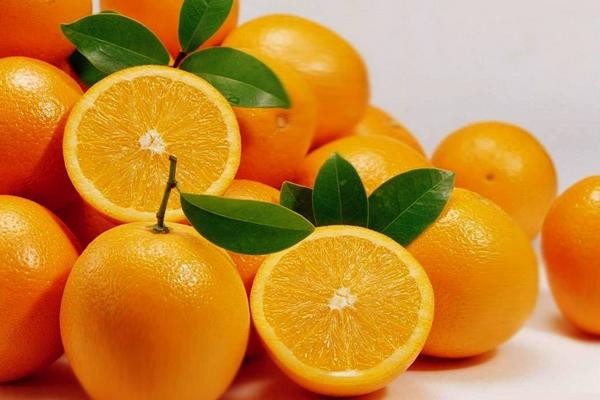 夏橙和臍橙的區別是什么