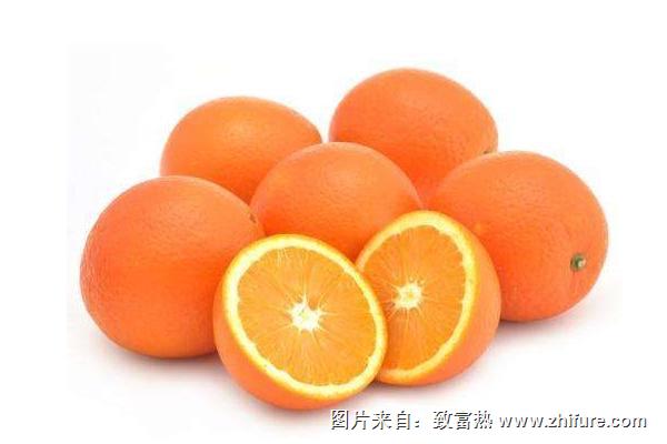 紐荷爾臍橙種植技術