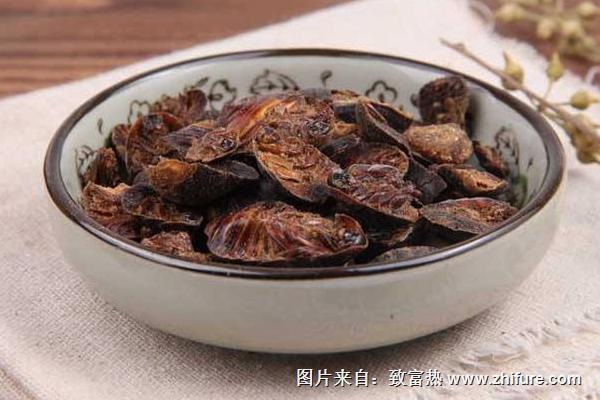 土元價(jià)格多少錢一斤?