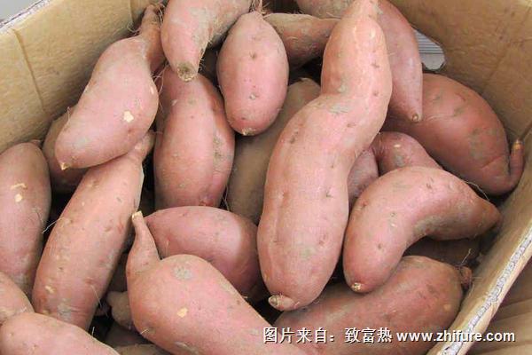 紅薯深加工產(chǎn)品有哪些？