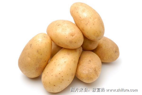 馬鈴薯是土豆還是紅薯？