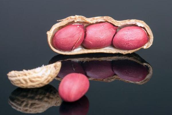 鹽水花生的做法大全