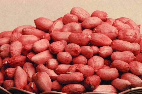 水煮花生煮多長時間？