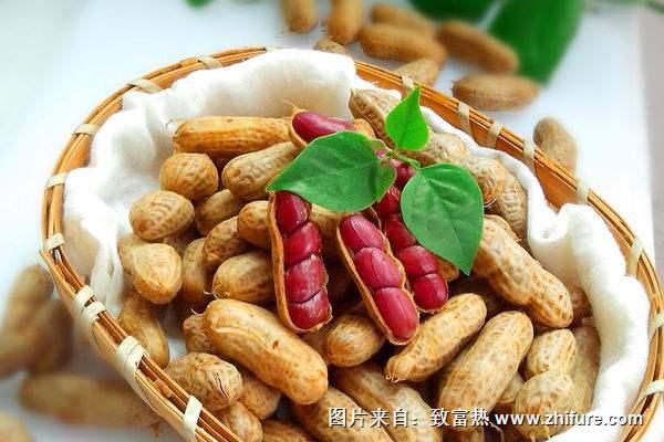 水煮花生煮多長時間？