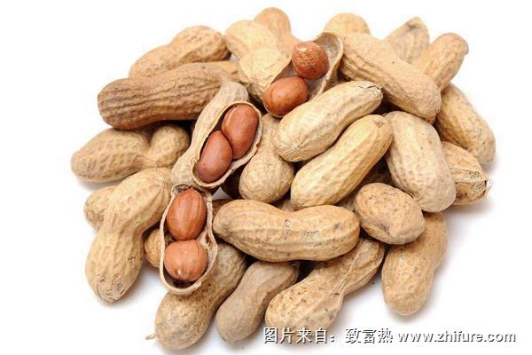 花生價格多少錢一斤？