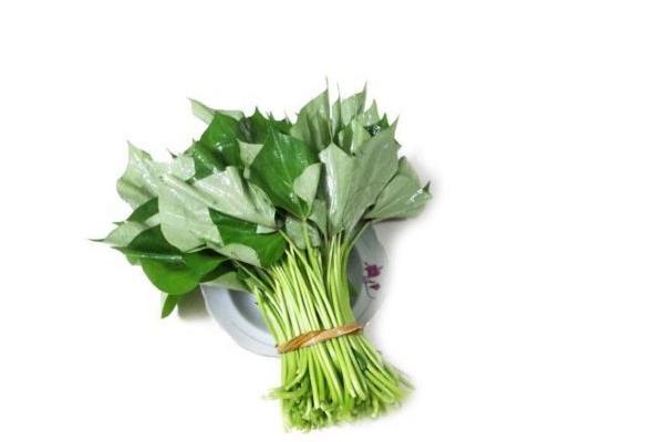 吃紅薯葉有什么好處？