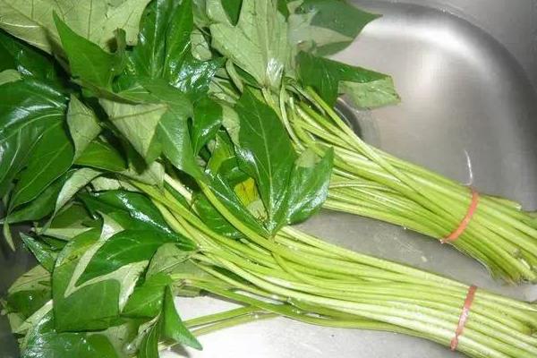 吃紅薯葉有什么好處？