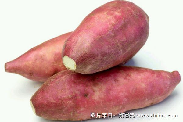 煮紅薯要多長時間？