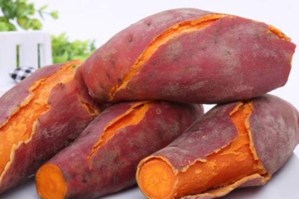 煮紅薯要多長時間?