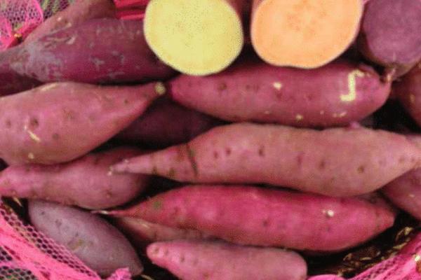 煮紅薯要多長時間?