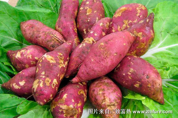 紅薯和土豆哪個(gè)減肥？