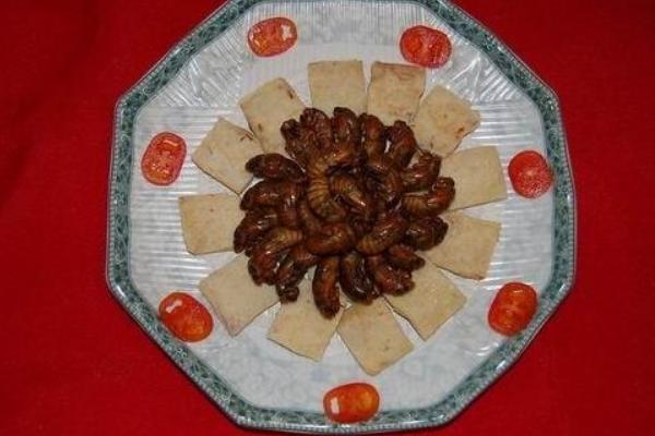 金蟬的功效與作用及禁忌