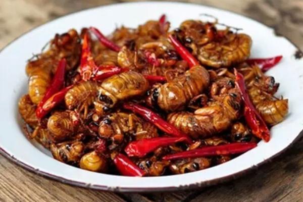 金蟬怎么做好吃？