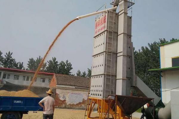 水稻烘干機多少錢一臺？