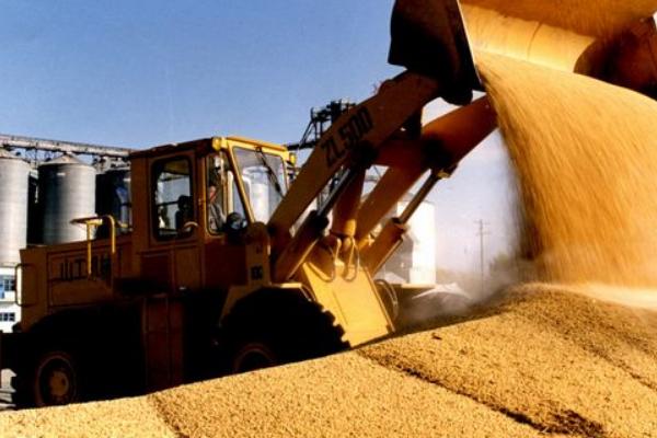 水稻烘干機多少錢一臺？