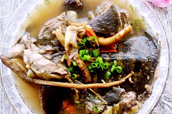 王八和烏龜的區別是什么?