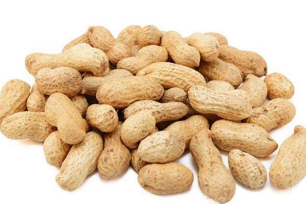 花生功效與作用及禁忌