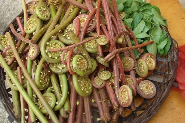 花生功效與作用及禁忌