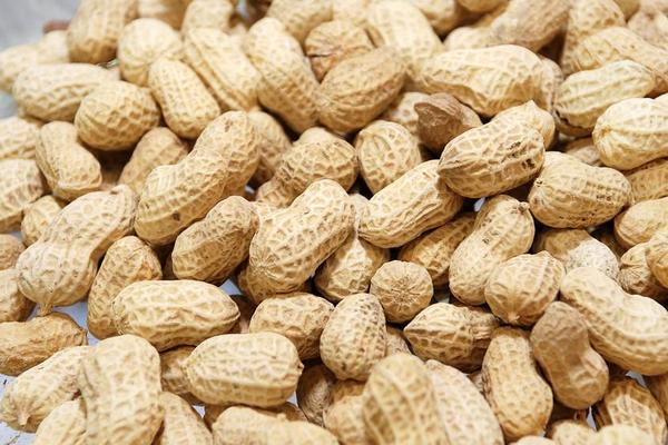 花生功效與作用及禁忌