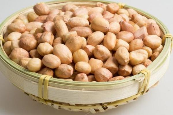 花生功效與作用及禁忌