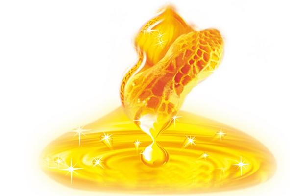 花生功效與作用及禁忌