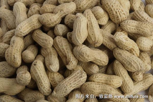 來月經(jīng)可以吃花生嗎？