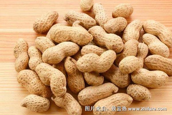 蕁麻疹可以吃花生嗎？