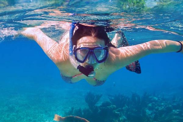 花生紅棗黃豆豐胸湯做法及功效作用