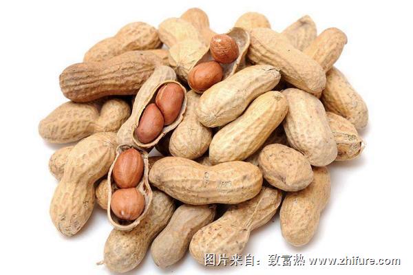 痛風能吃花生嗎？