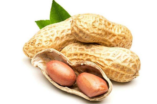 痛風能吃花生嗎？